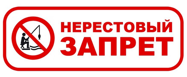 О проведении в 2024 г. мероприятий по охране водных биологических ресурсов и объектов животного мира в период весеннего ограничения рыболовства на водных объектах Воронежской области.