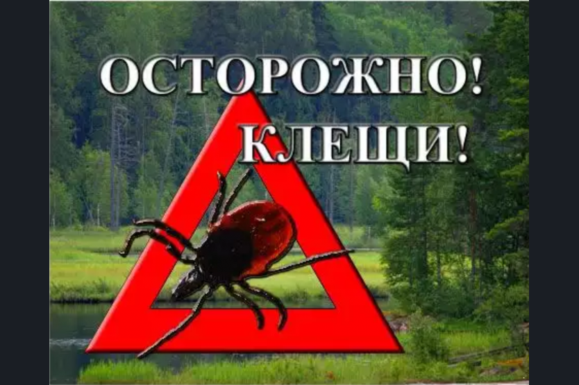 ОСТОРОЖНО!!!  КЛЕЩИ!!!.