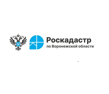 Роскадастр ответил на популярные вопросы воронежцев о выписках из ЕГРН.